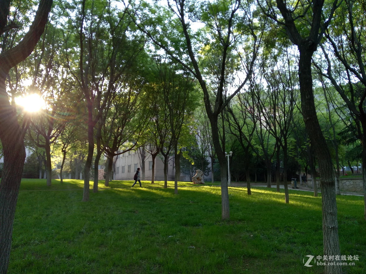 oppoa37m校园的清晨静悄悄