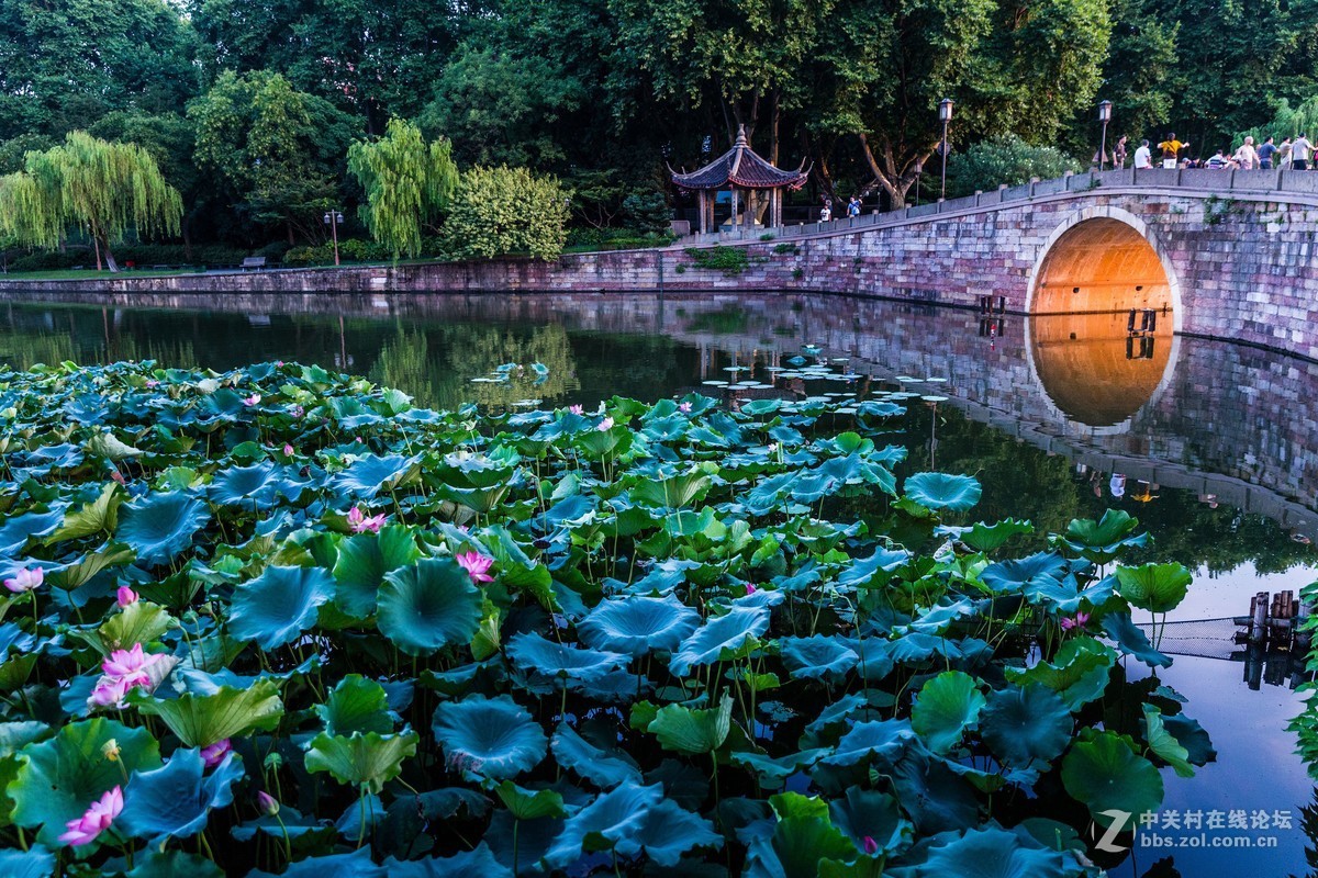 西湖长桥，城隍阁，保叔塔，断桥，珠海渔女
