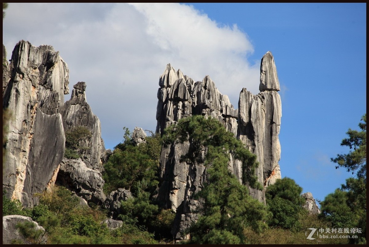 不一样的石林--2