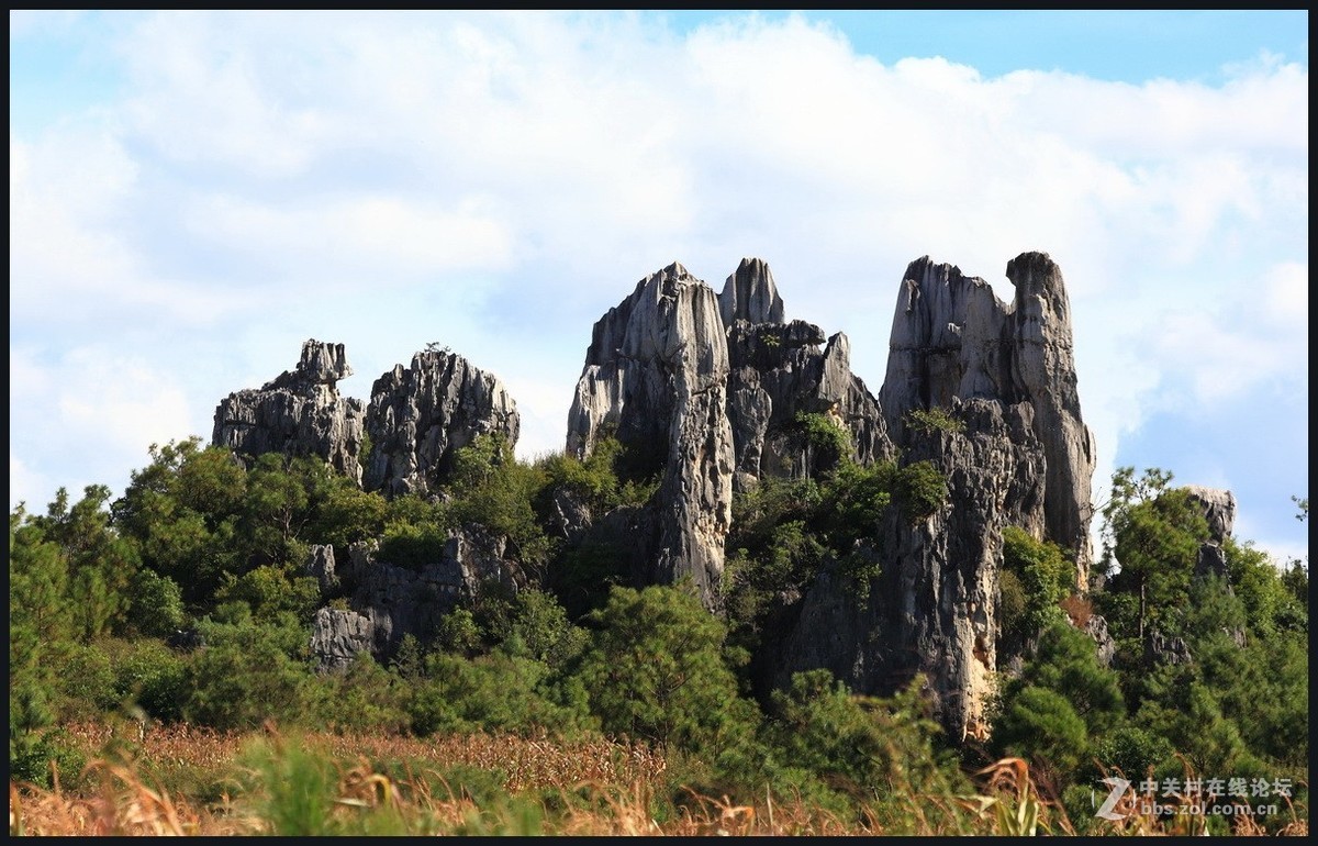 不一样的石林--2