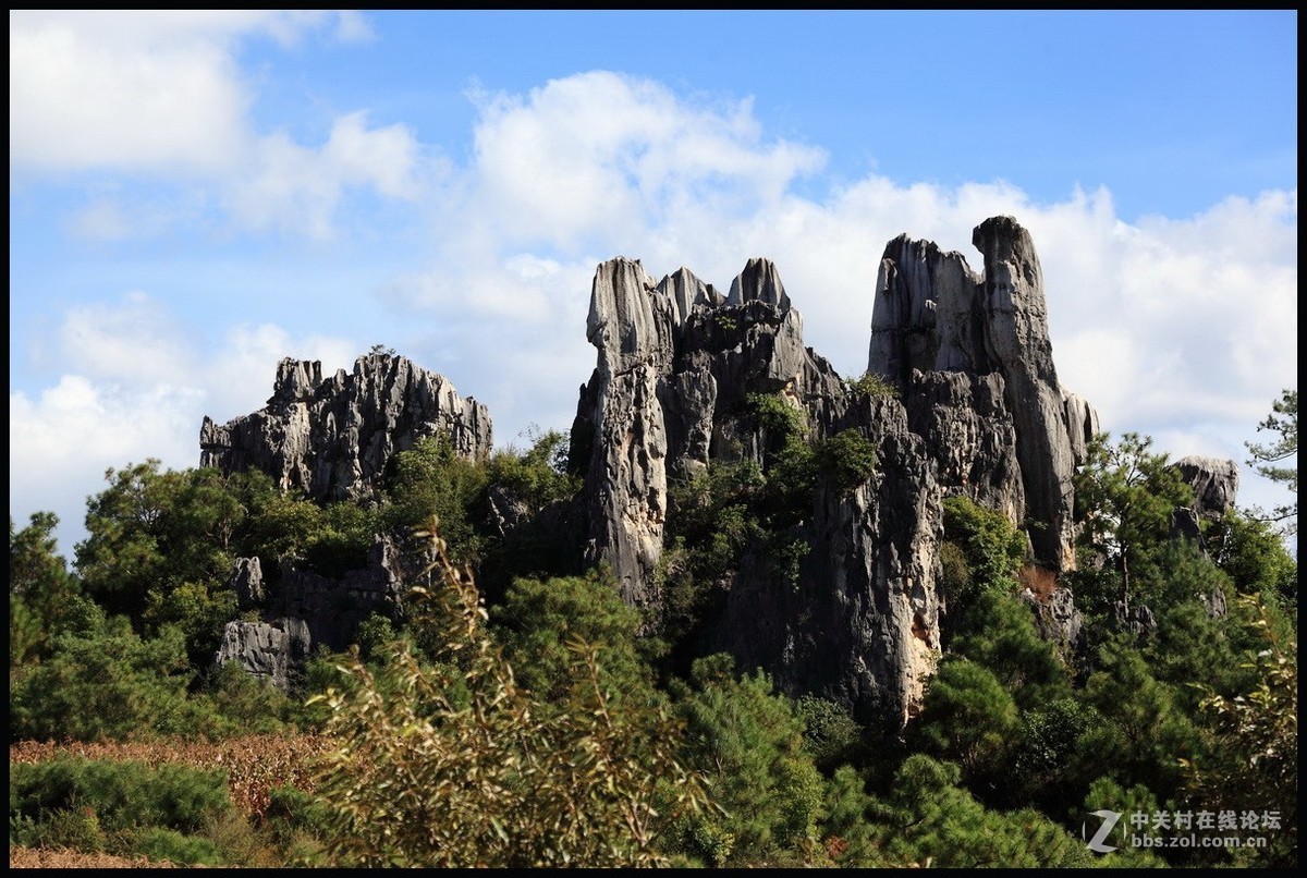 不一样的石林--2