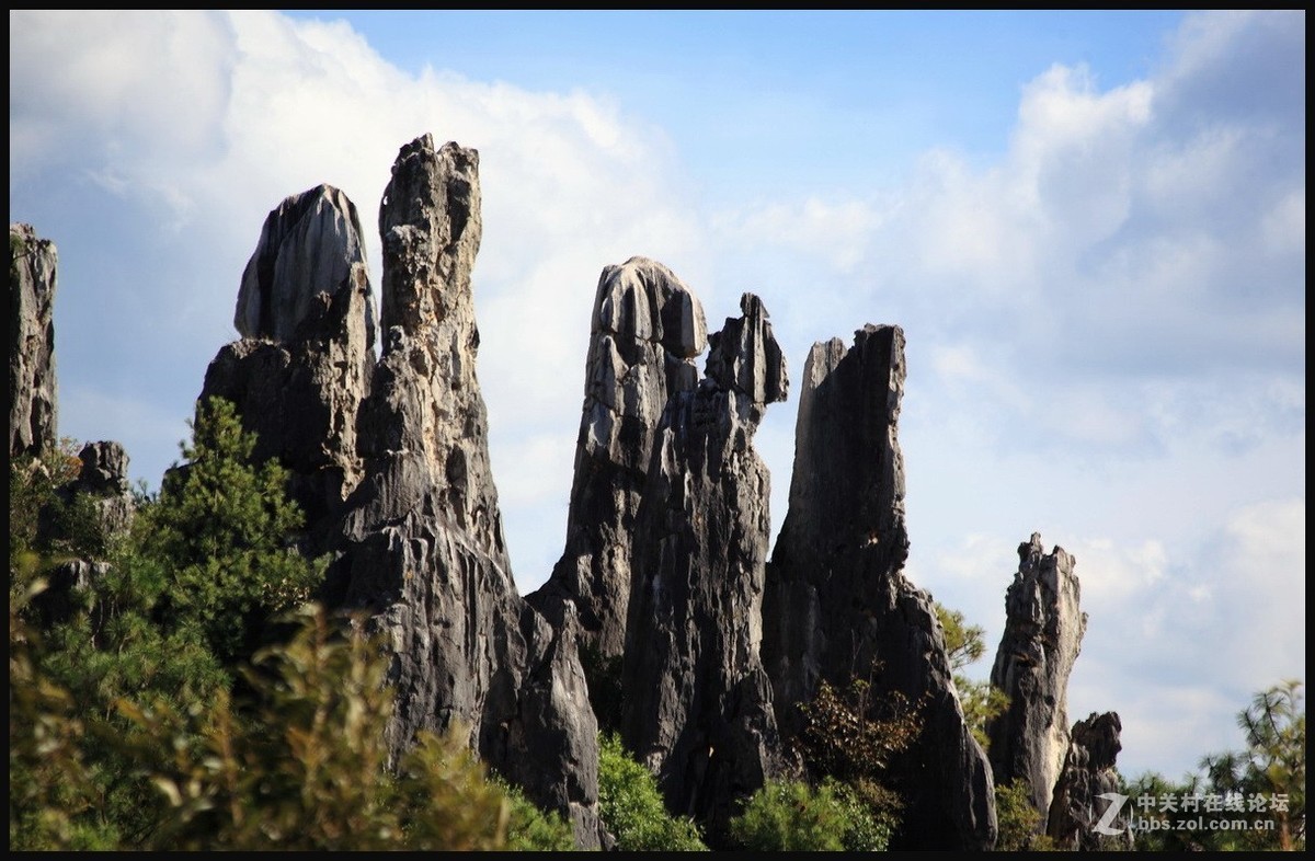 不一样的石林--2