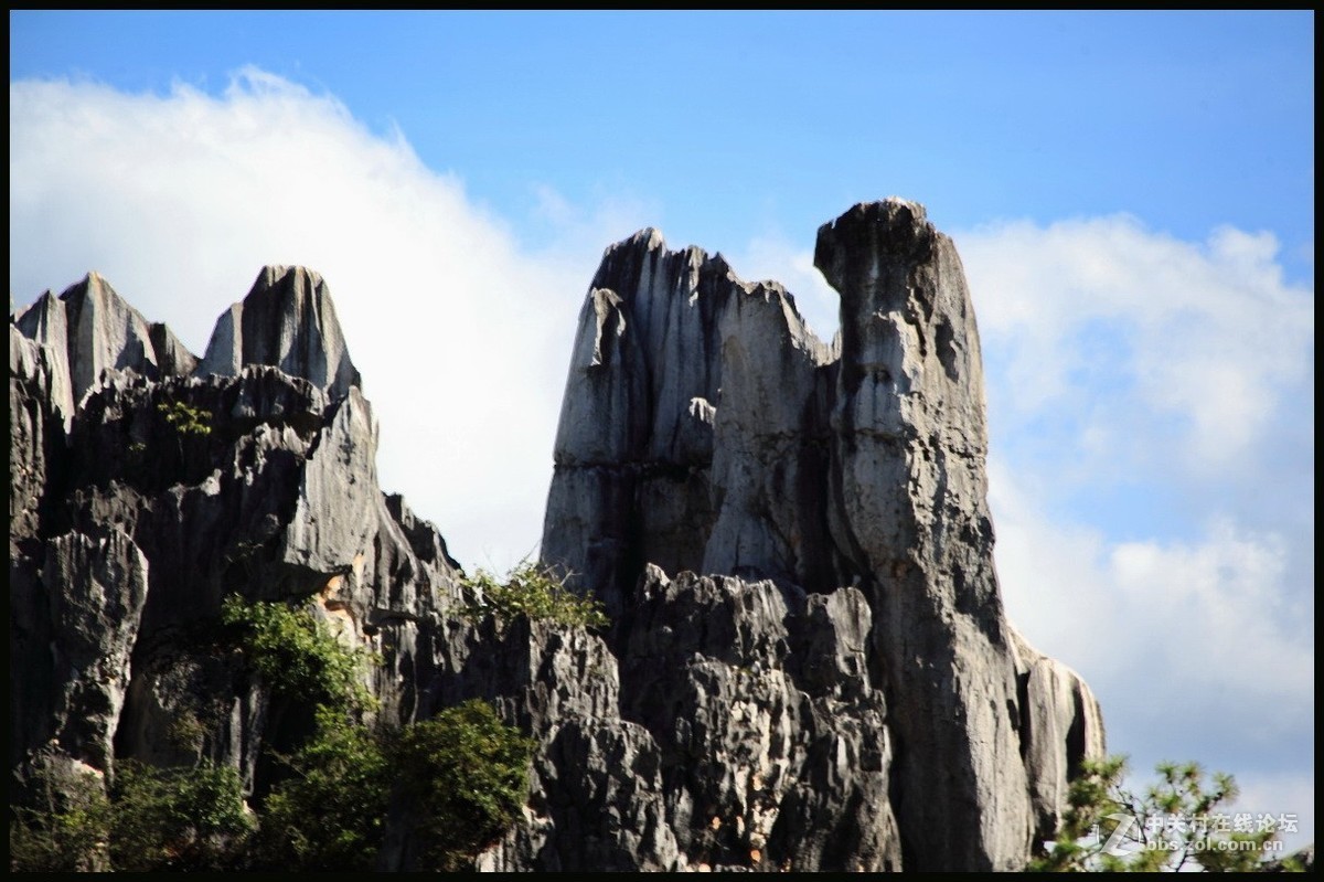 不一样的石林--2