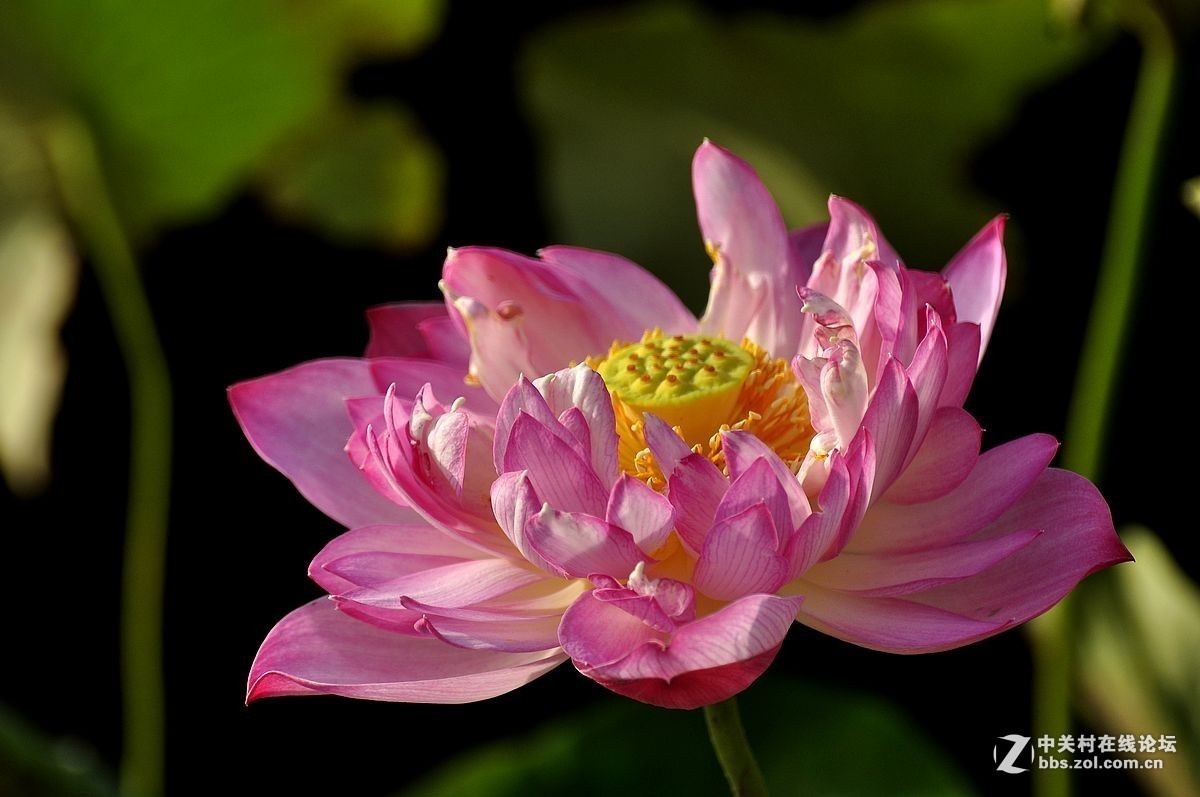 #版主坐堂#小五星空(中国)2018年六月精品荟萃