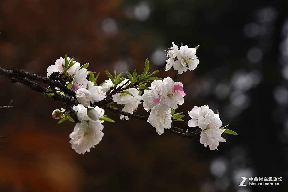 #版主坐堂#小五星空(中国)2018年六月精品荟萃