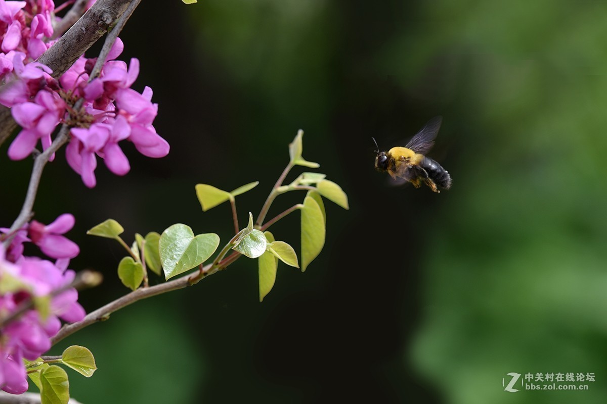 #版主坐堂#小五星空(中国)2018年六月精品荟萃
