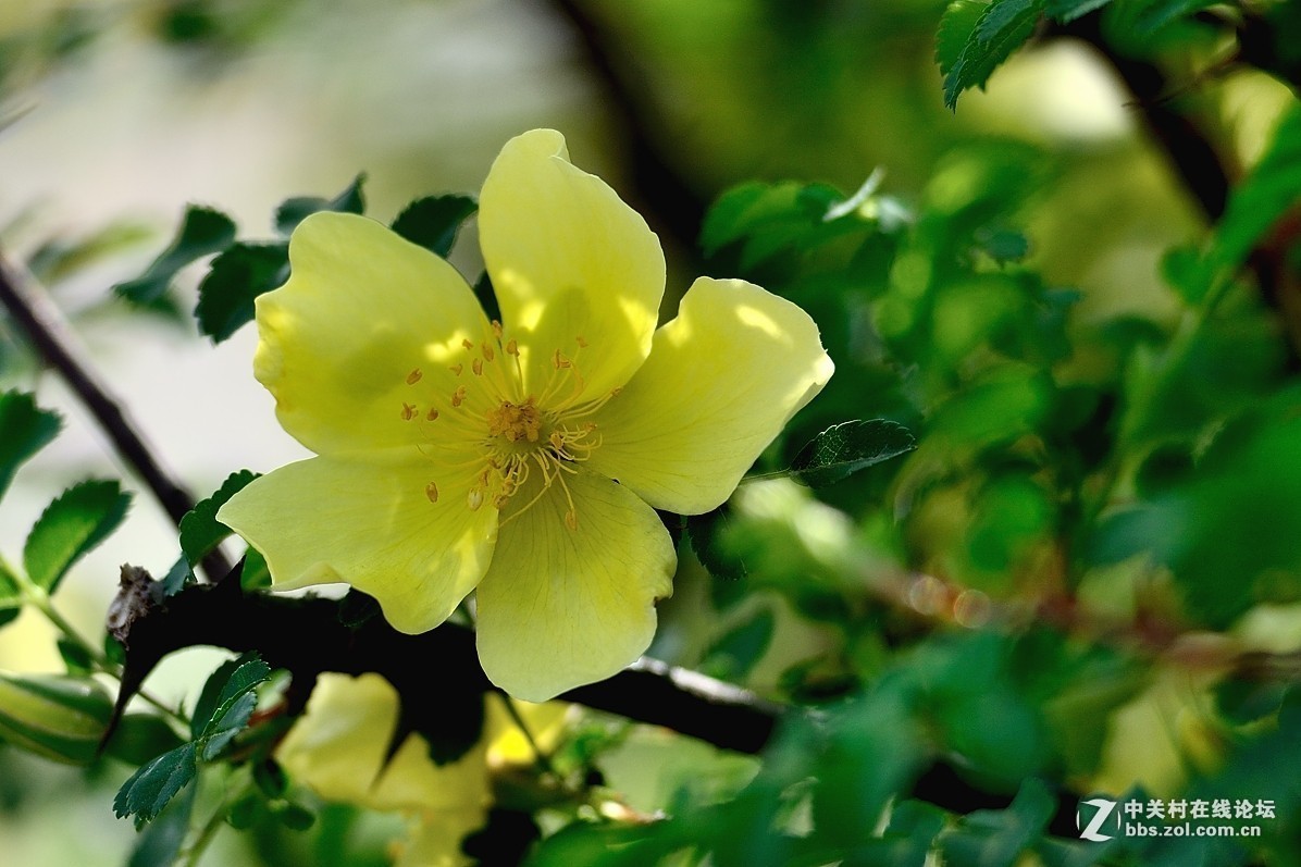 #版主坐堂#小五星空(中国)2018年六月精品荟萃