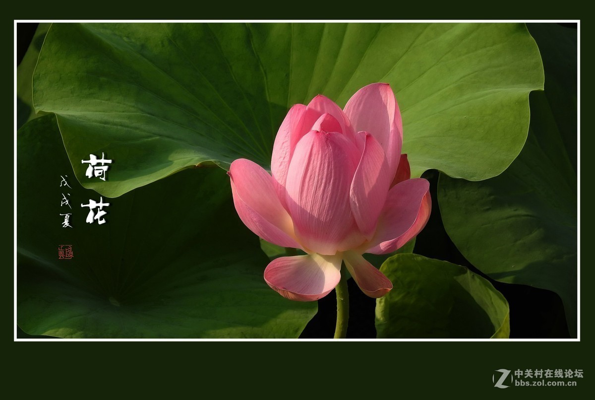 #版主坐堂#小五星空(中国)2018年六月精品荟萃