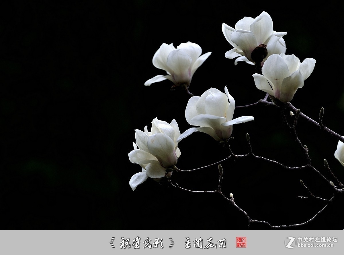 #版主坐堂#小五星空(中国)2018年六月精品荟萃