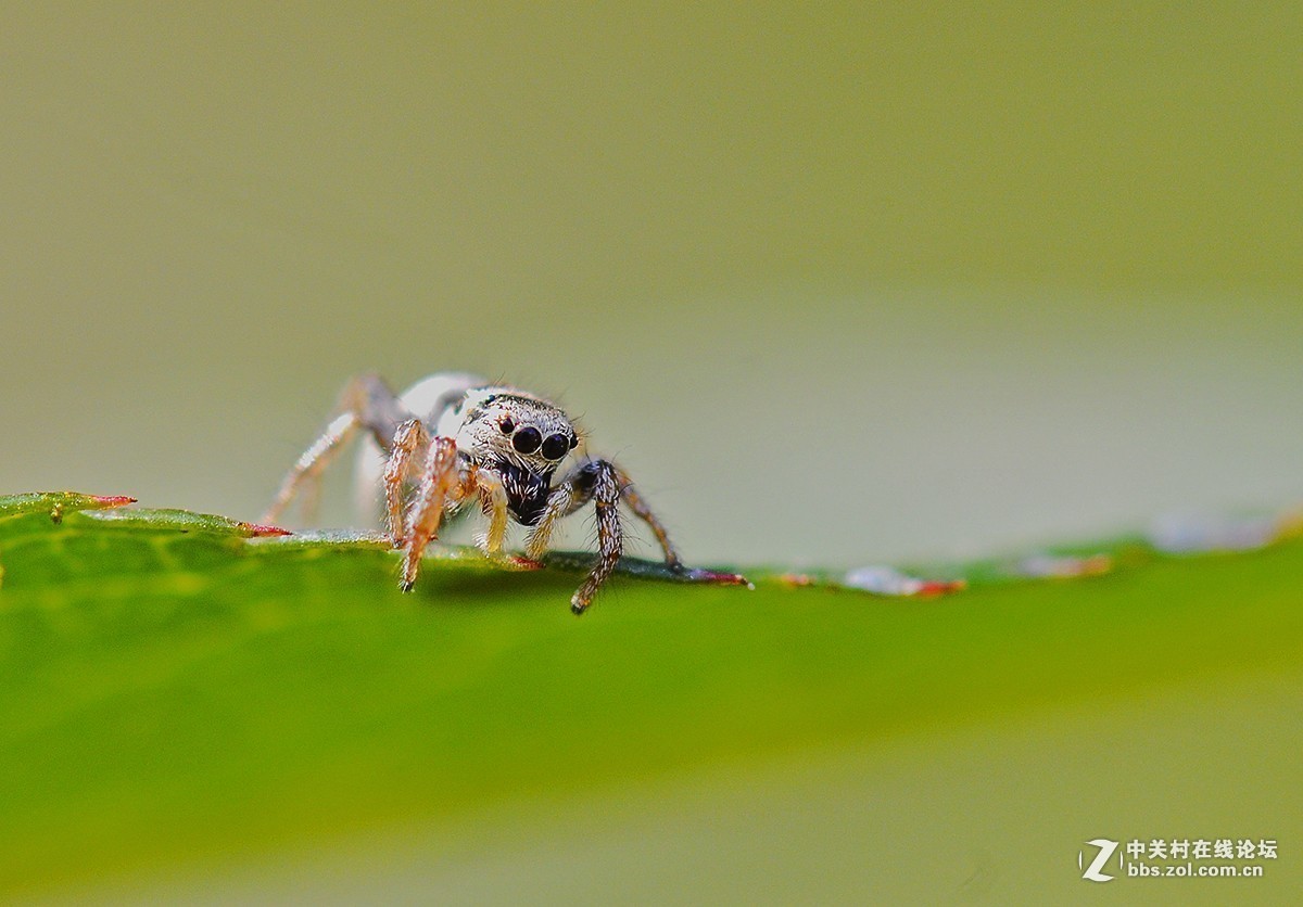 #版主坐堂#小五星空(中国)2018年六月精品荟萃