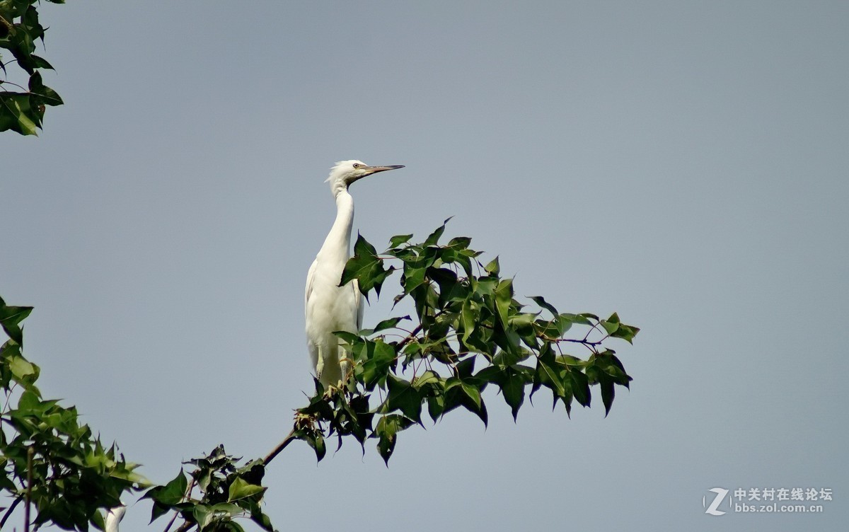 #版主坐堂#小五星空(中国)2018年六月精品荟萃