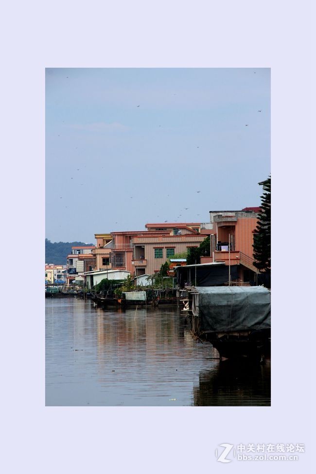 珠三角美丽水乡