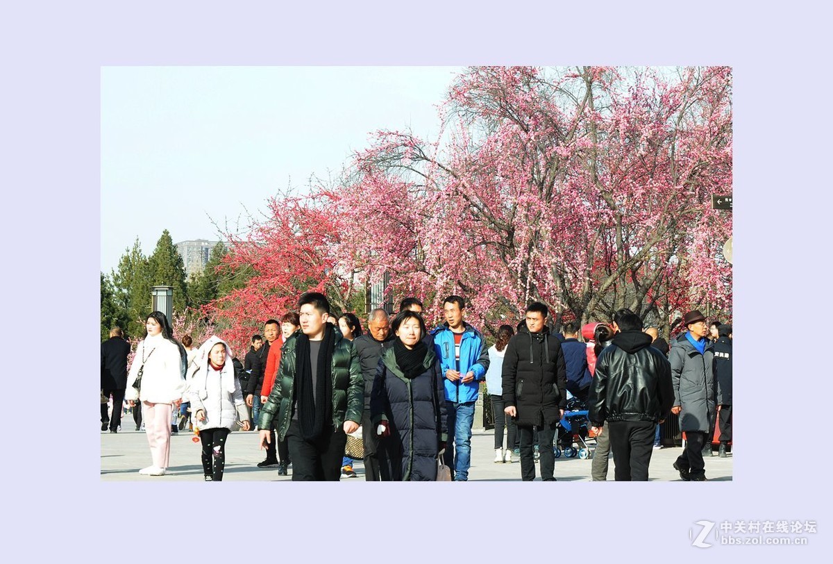 欢天喜地过大年