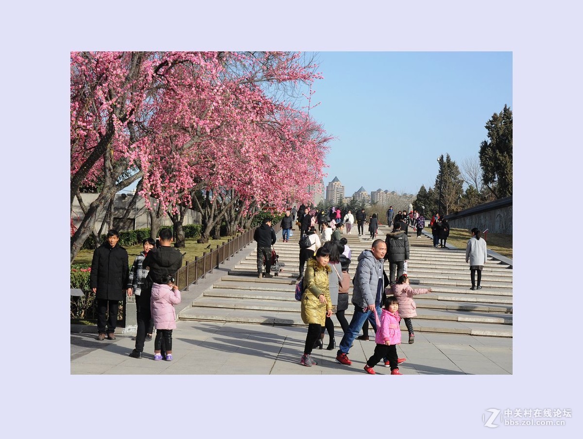 欢天喜地过大年