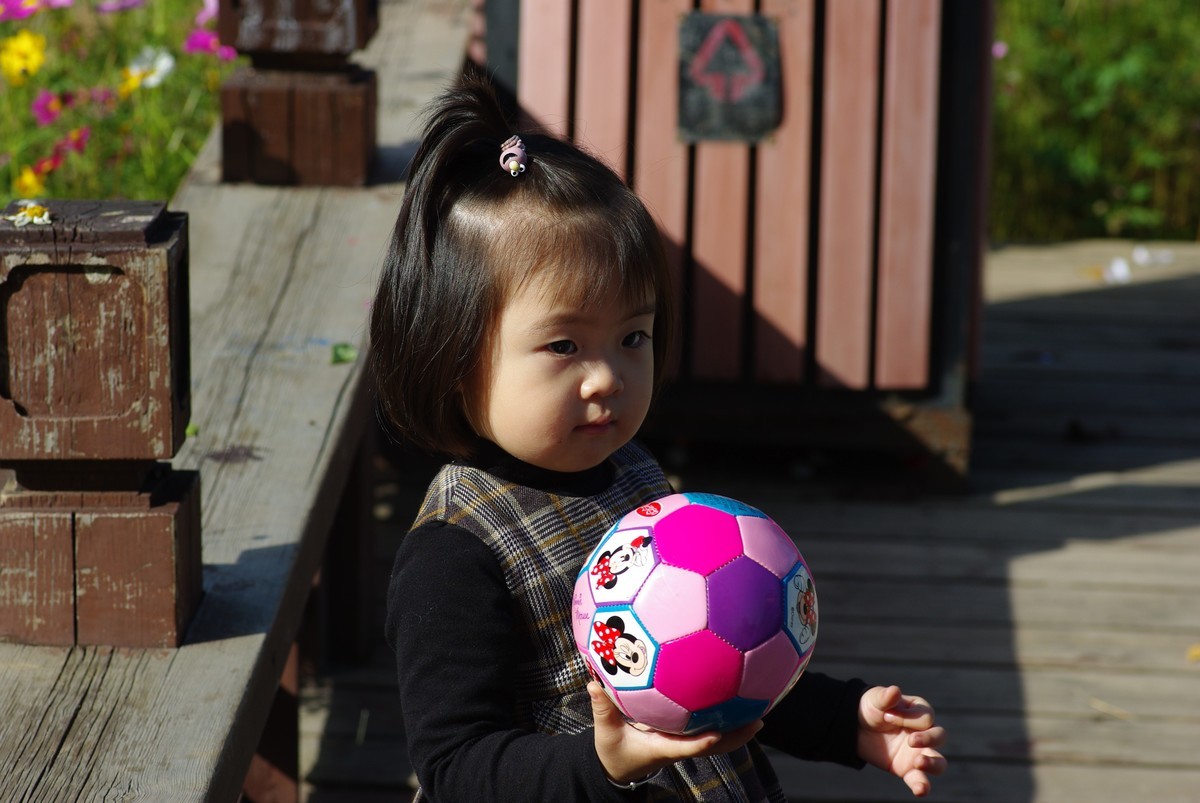 十一年、三万、K200D、杂片一组。