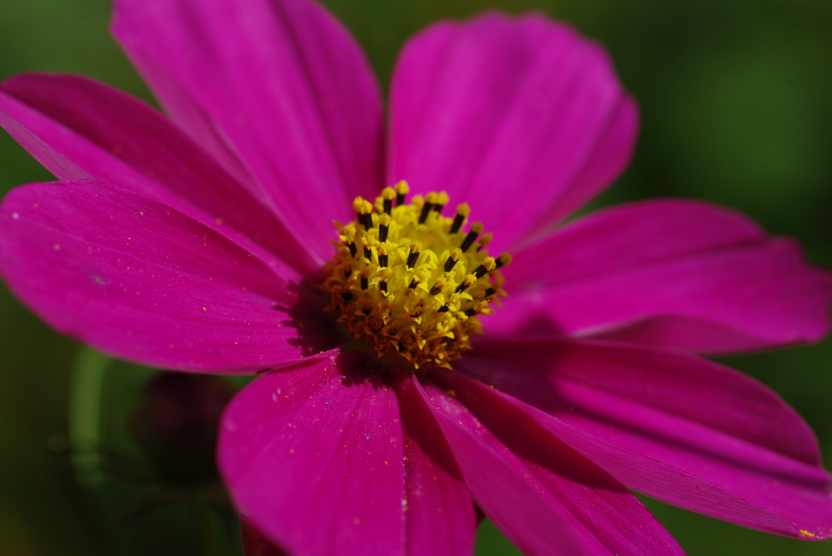 十一年、三万、K200D、杂片一组。