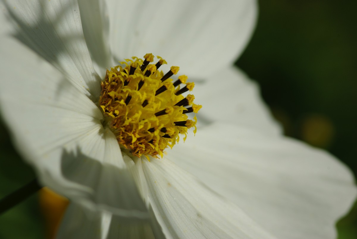十一年、三万、K200D、杂片一组。