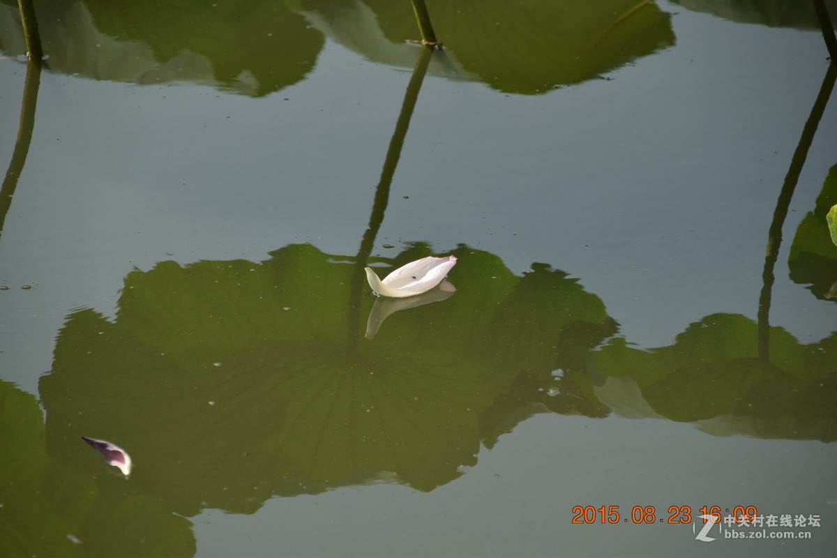 再发18-200，请教大神背景虚化问题