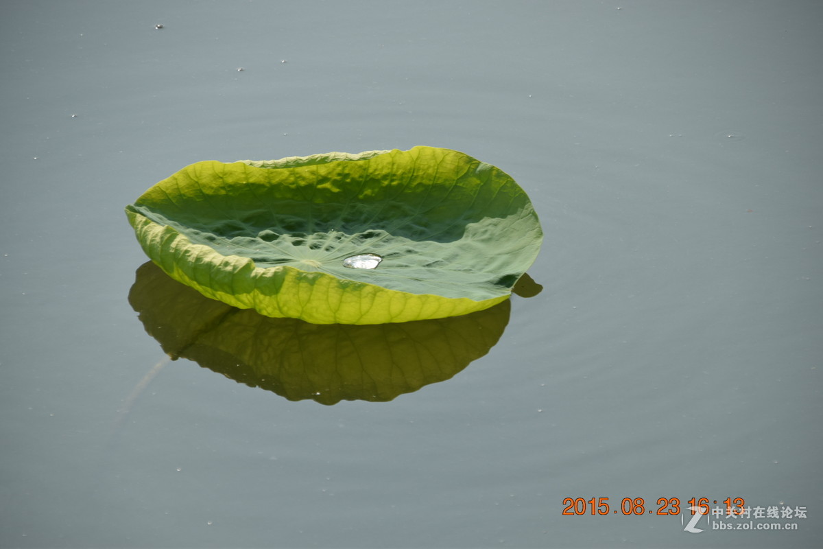 再发18-200，请教大神背景虚化问题