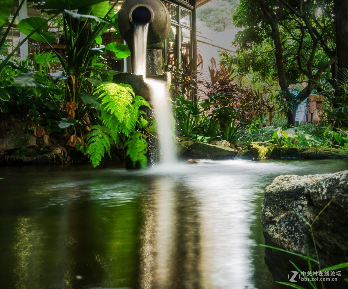 深圳南山青青世界摄影补发上次无图帖子