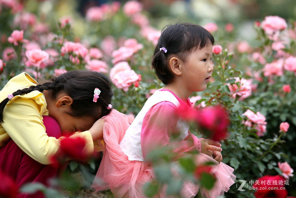 上几张6D和腾龙A009的片子，证明下此头素质相当好