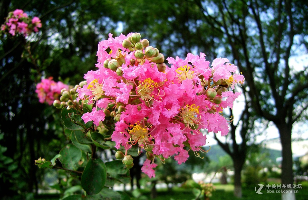 周末大榭岛随拍