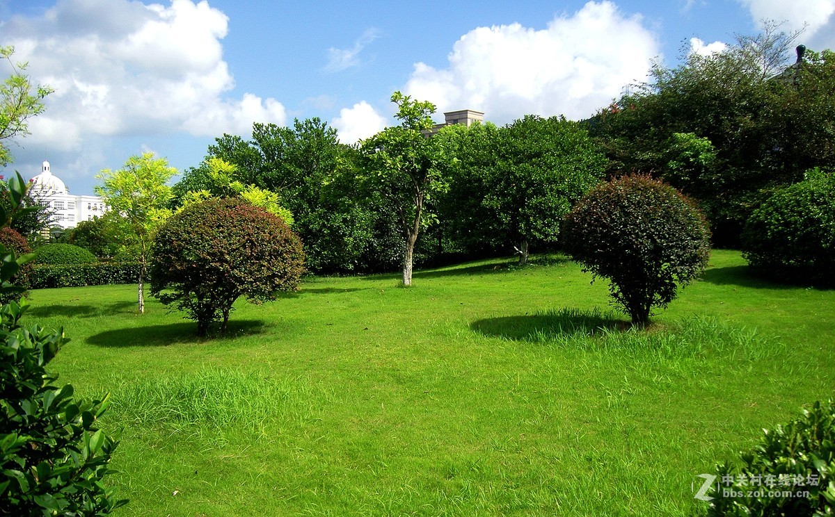 周末大榭岛随拍