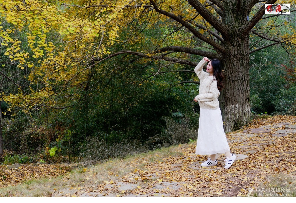 端酒壺的妙齡女郎