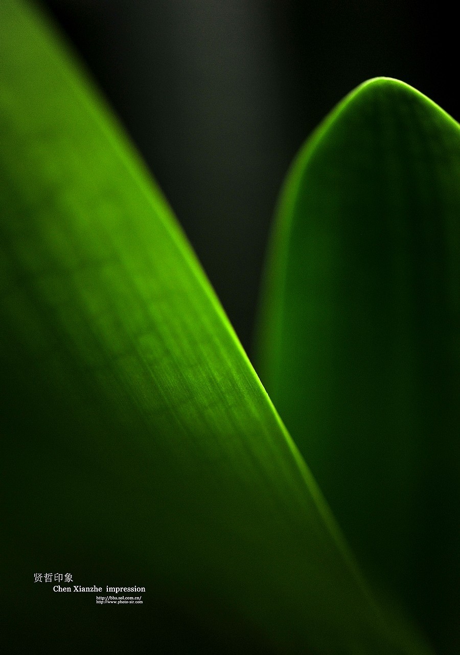 ----【 火 红 的 正 月 】----