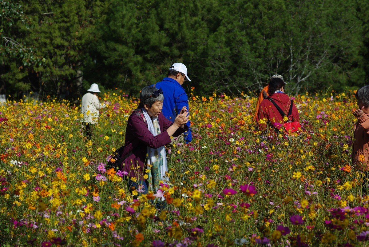 十一年、三万、K200D、杂片一组。