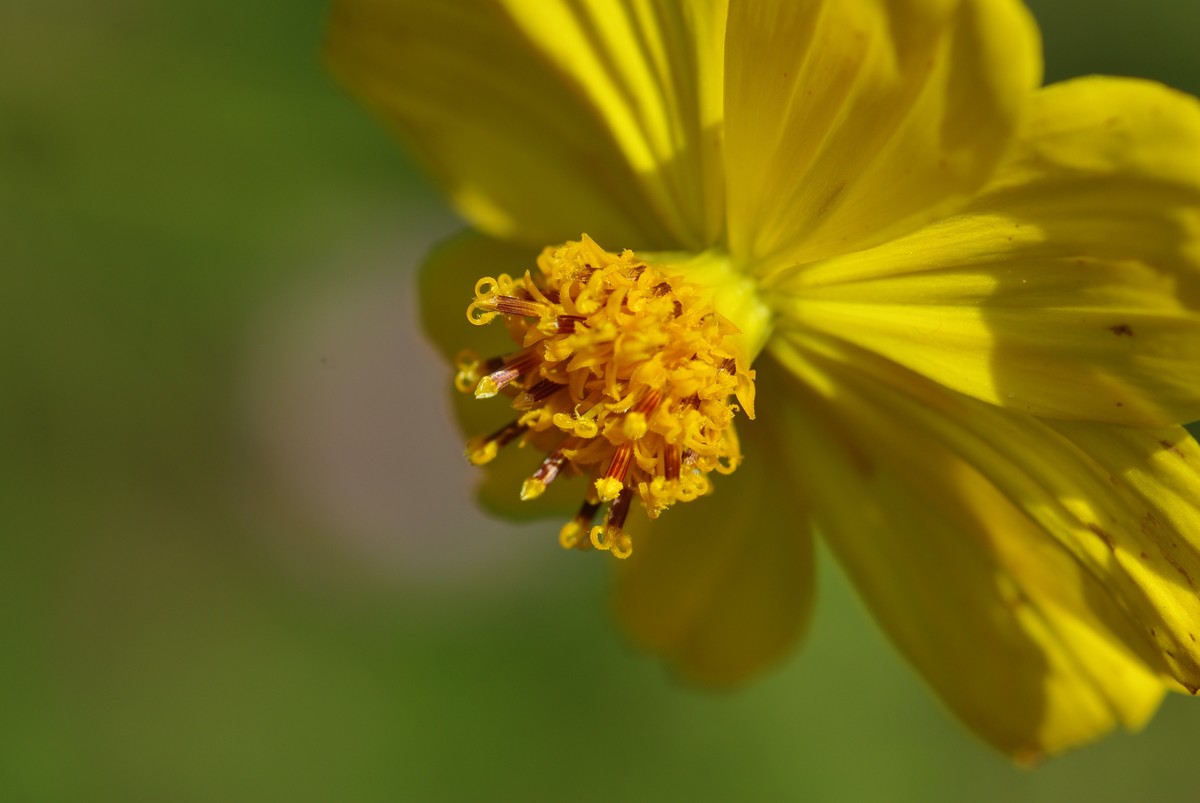 十一年、三万、K200D、杂片一组。