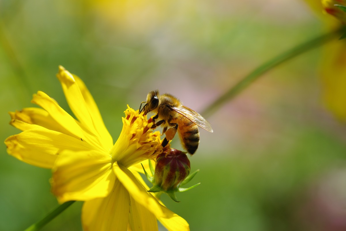 十一年、三万、K200D、杂片一组。