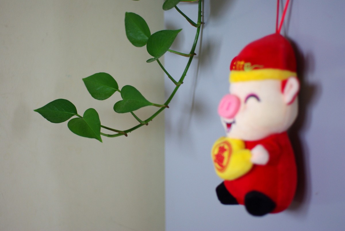 十一年、三万、K200D、杂片一组。