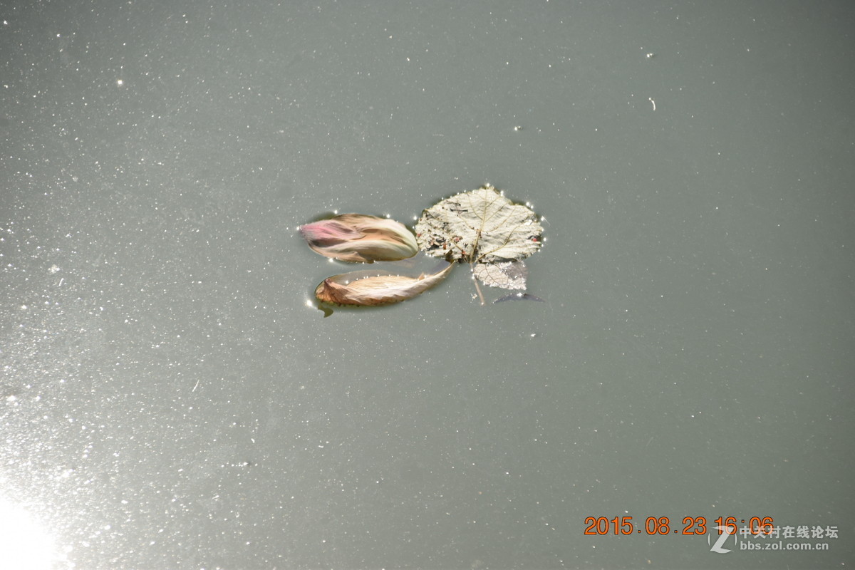 再发18-200，请教大神背景虚化问题