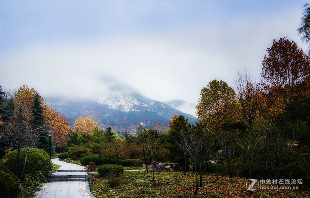 家门口的风景