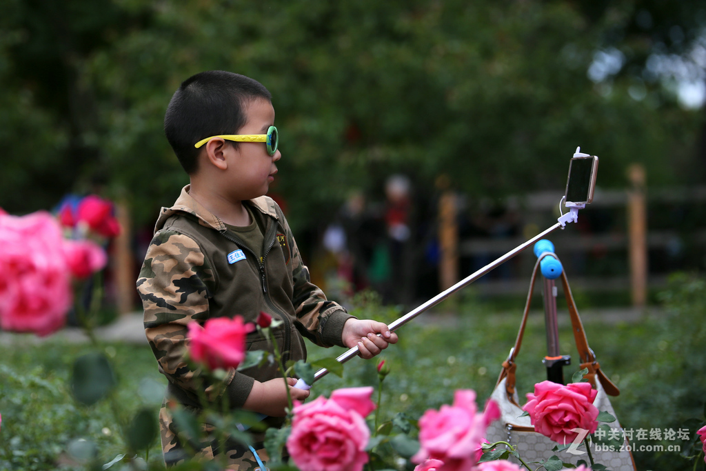 上几张6D和腾龙A009的片子，证明下此头素质相当好