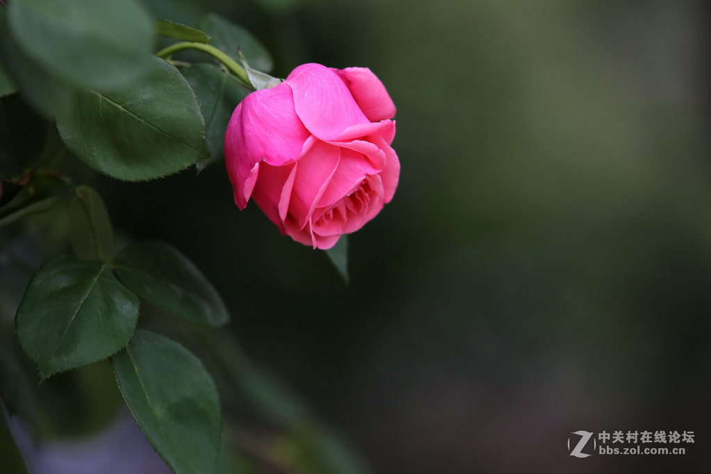 上几张6D和腾龙A009的片子，证明下此头素质相当好