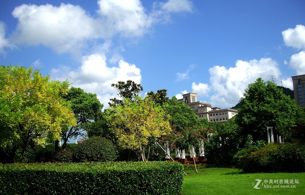 周末大榭岛随拍