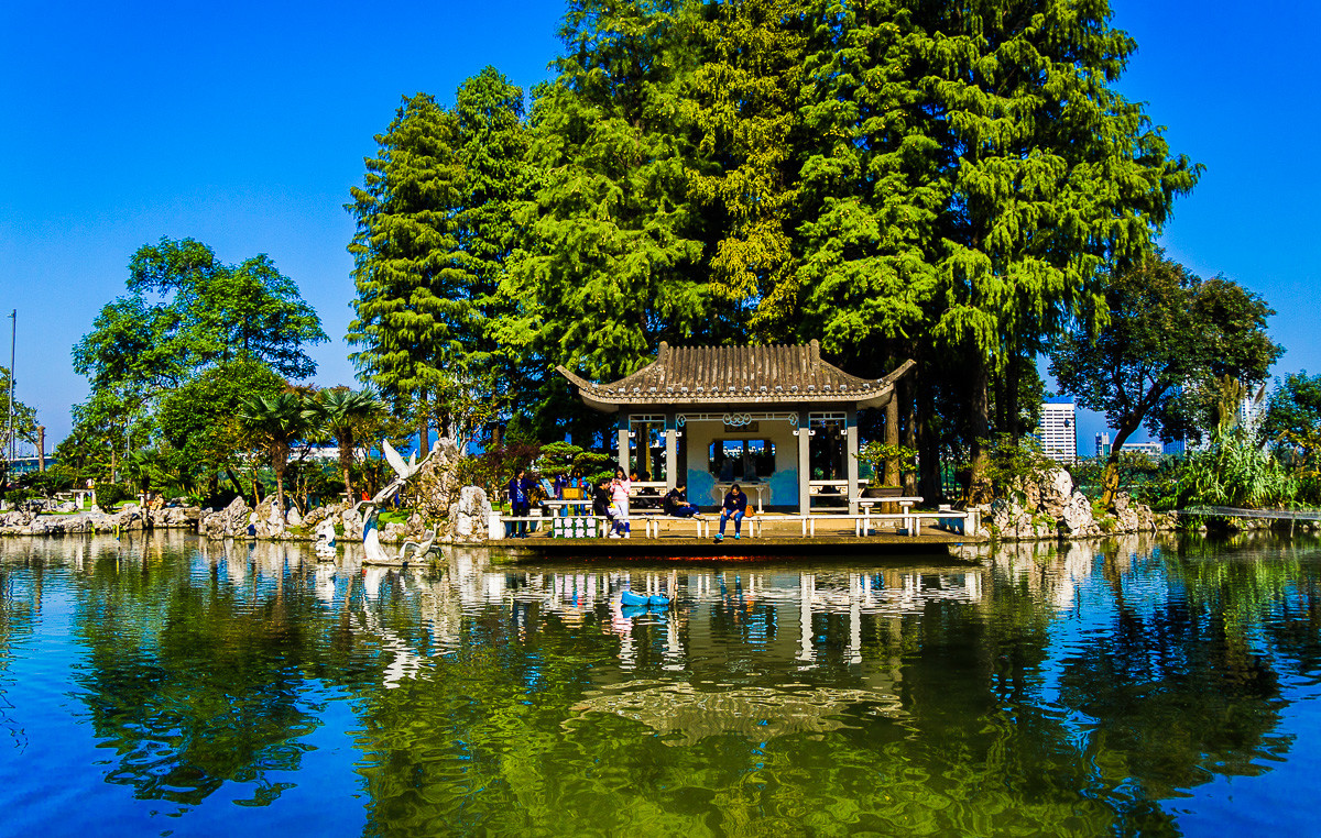 2016-11-03南京玄武湖—柳港观鱼