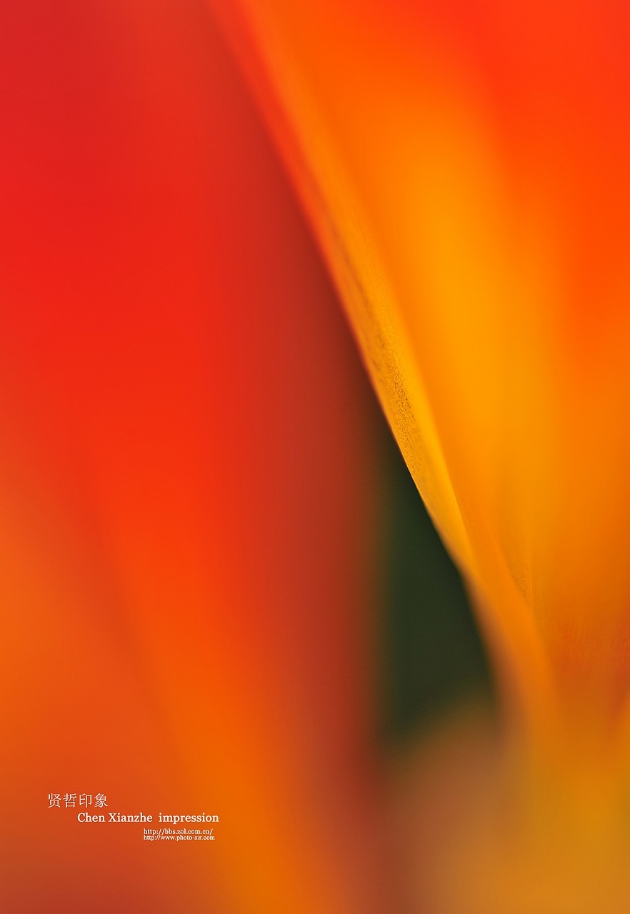 ----【 火 红 的 正 月 】----