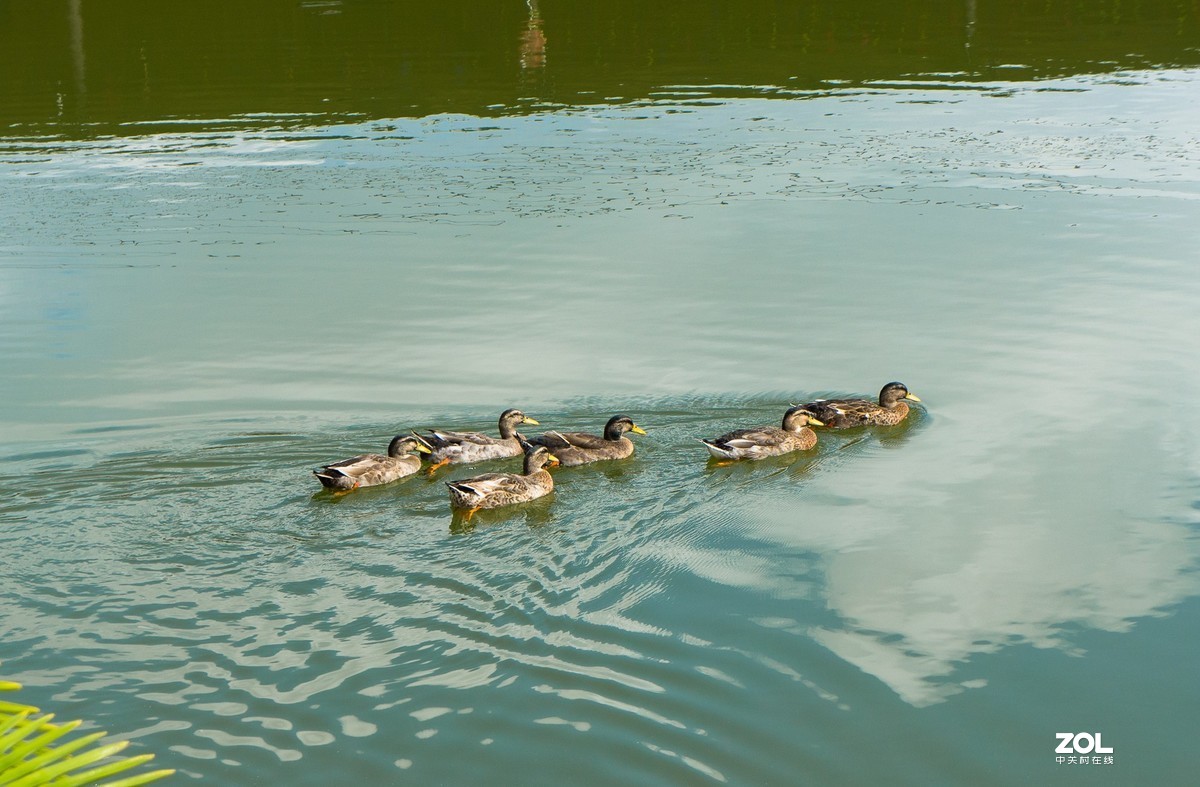 瞧这一家子（5）