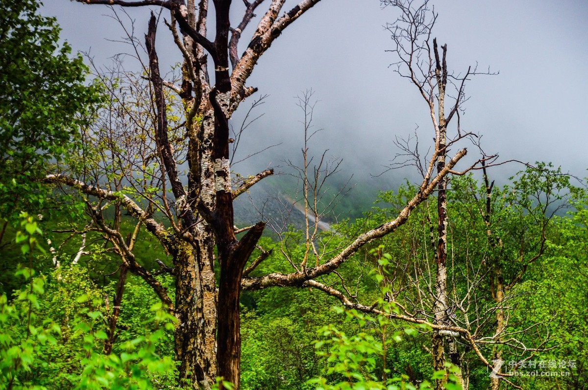 雨中的长白山