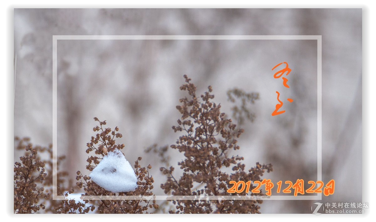 冬 节 —— 中 华 民 族 传 统 节 日