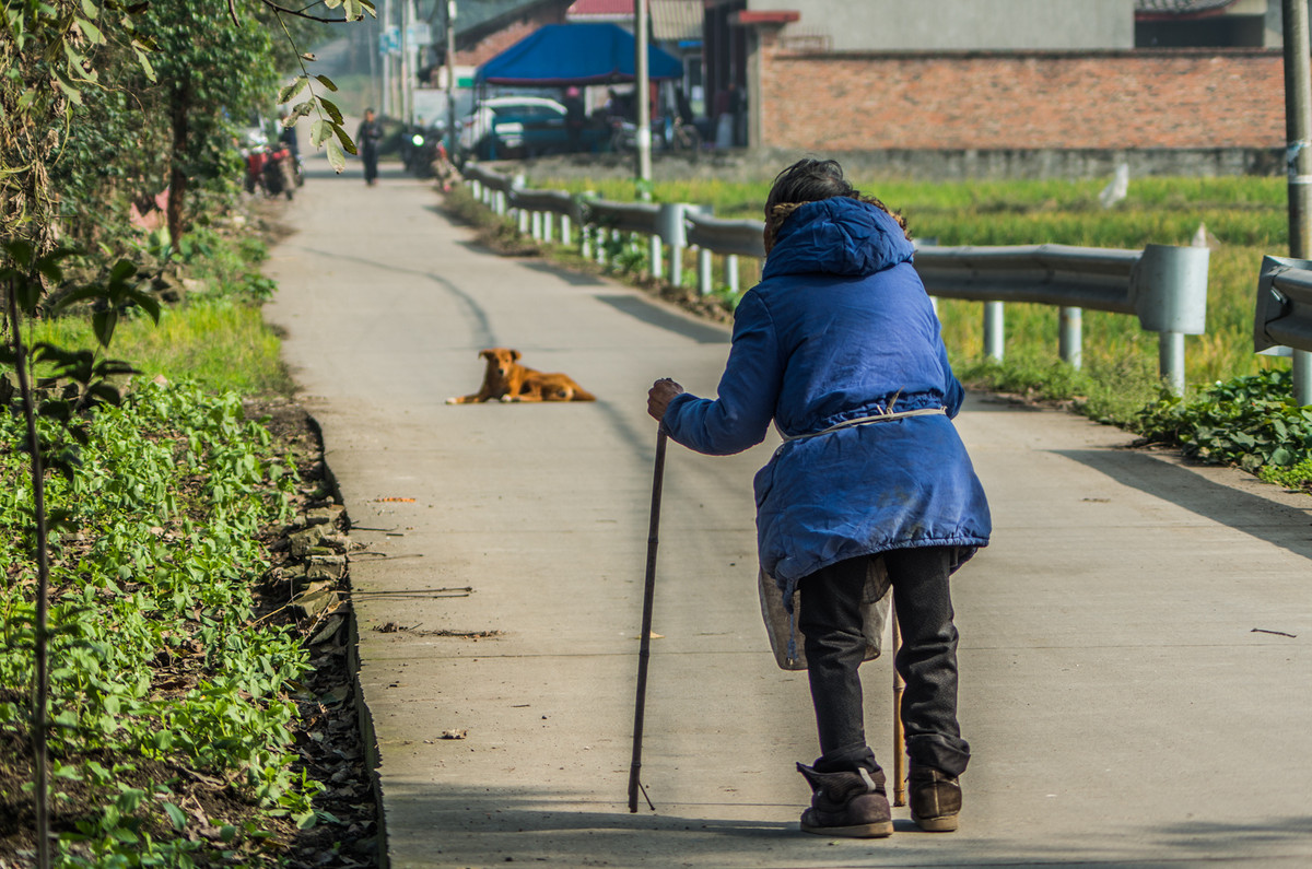 冬季乡村阳光动物老人