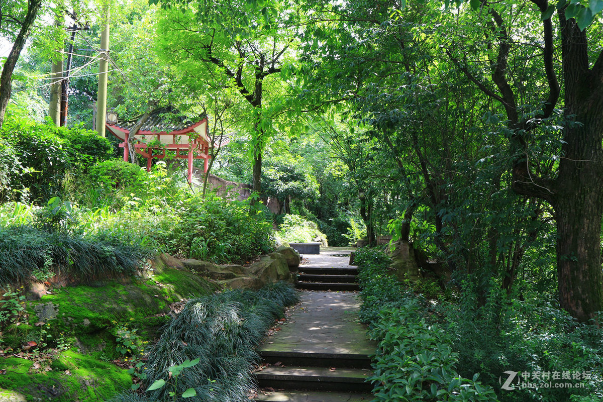 家门口风光(镜头佳能efs17-55.2.8usm)