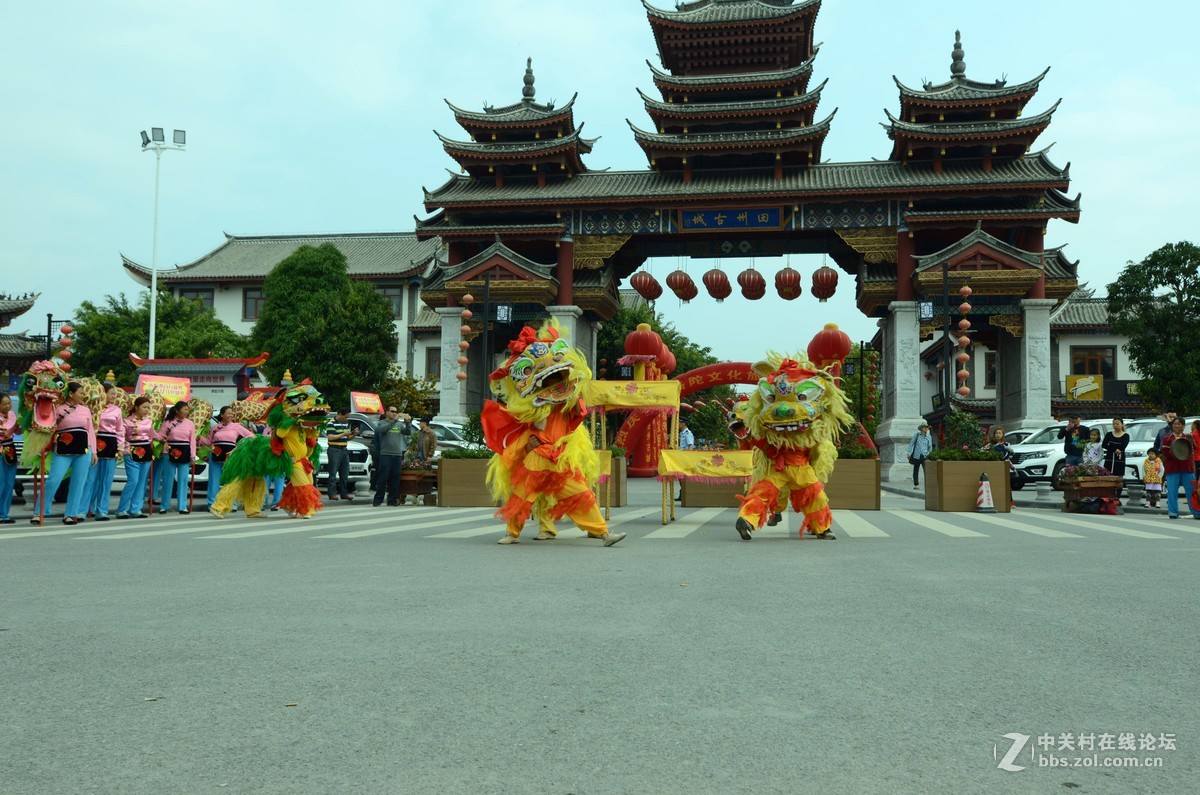 试用图丽12-24一代