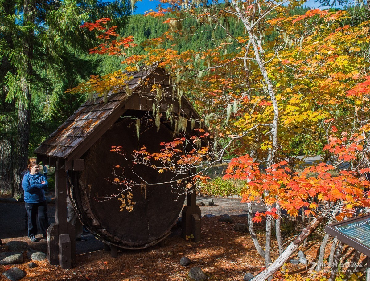 西雅图雷尼尔雪山