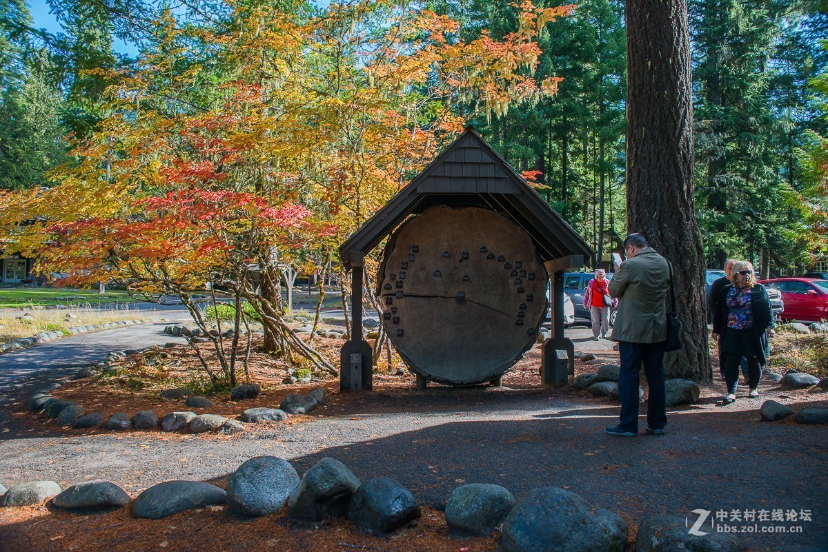 西雅图雷尼尔雪山