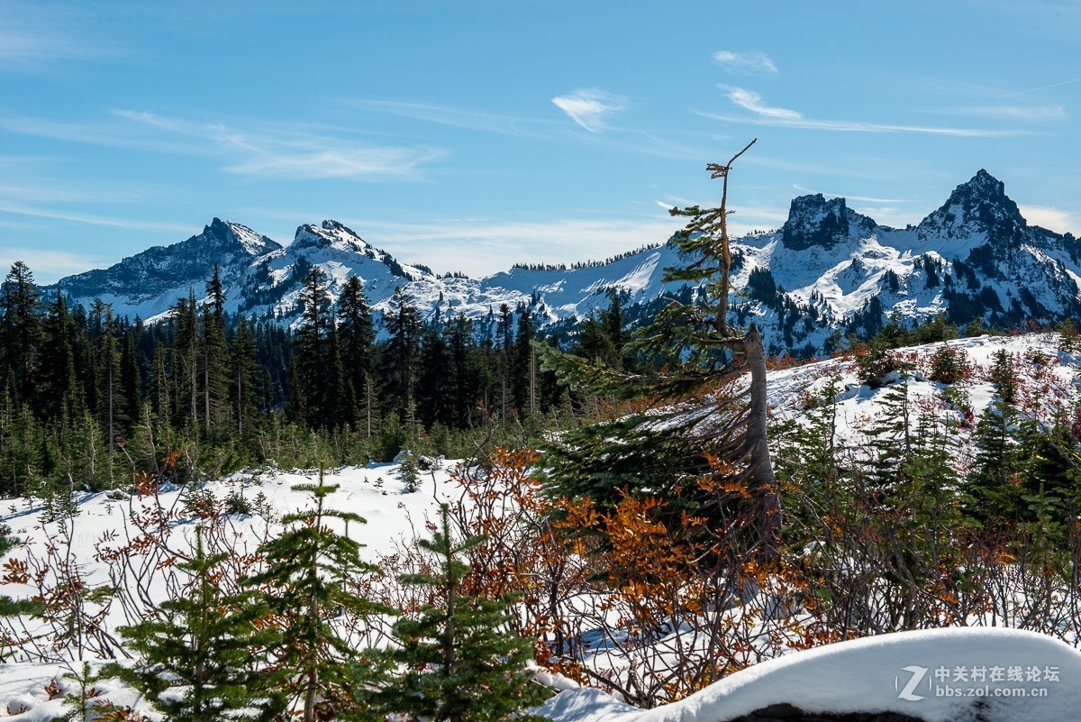 西雅图雷尼尔雪山