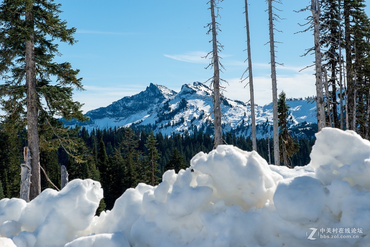 西雅图雷尼尔雪山